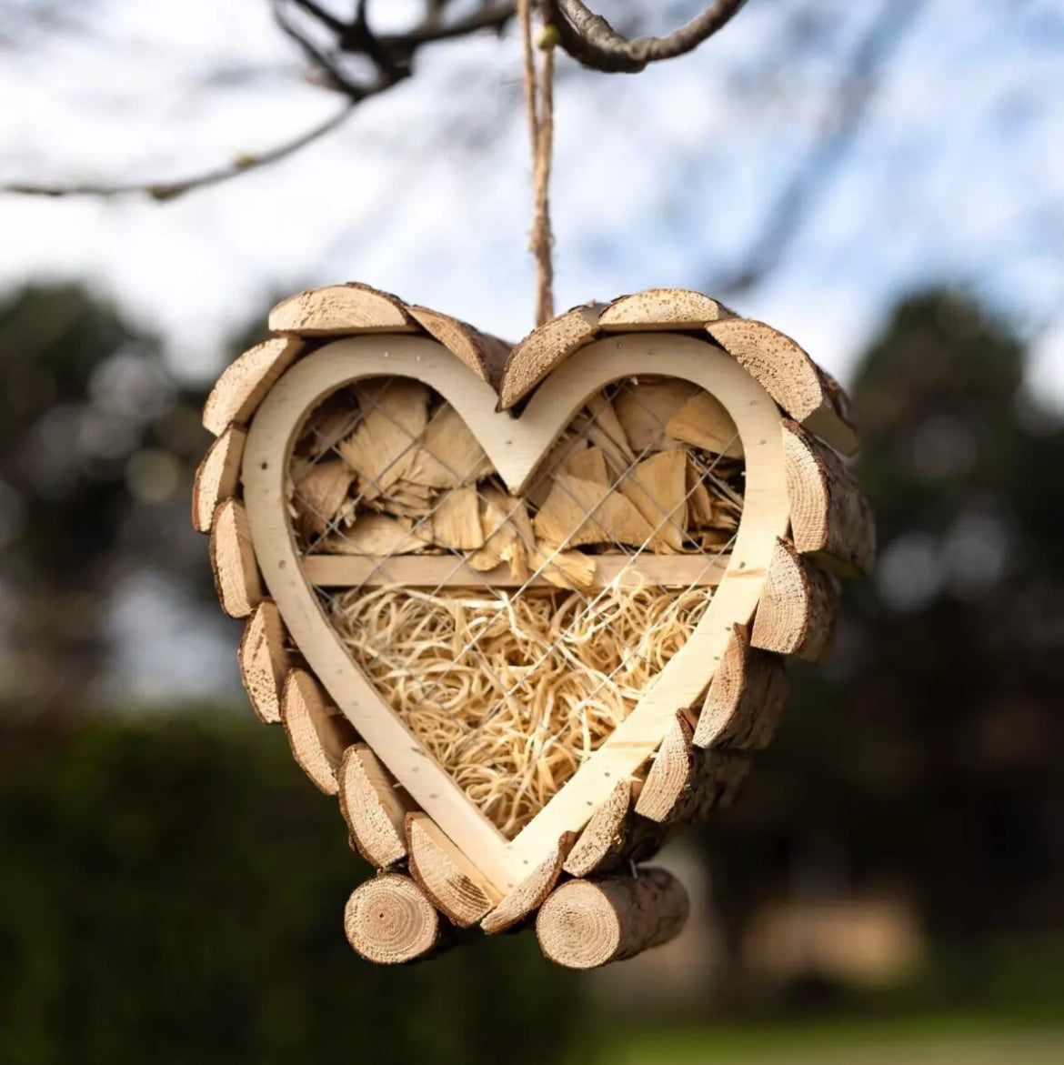 Heart Insect House