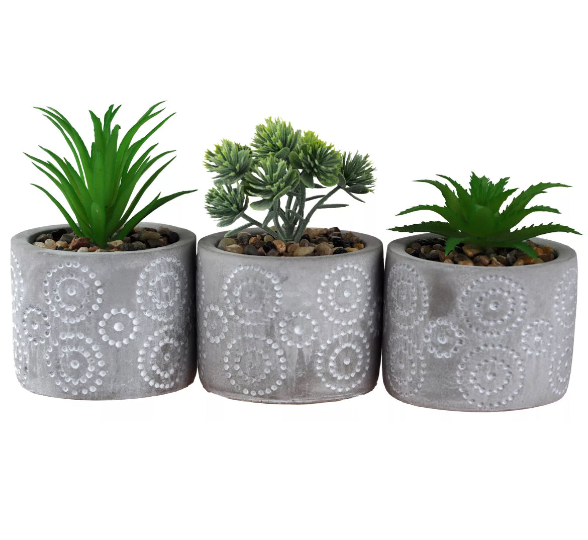 Set Of 3 Artificial Succulents