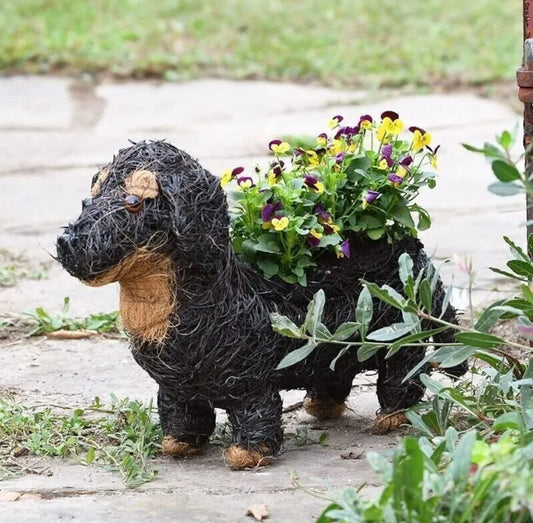 Dachshund Rattan Planter