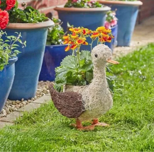 Duck Rattan Planter