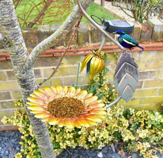 Solar Metal Bird Feeder