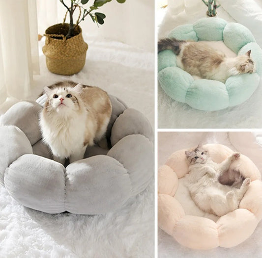 Flower Shaped Ped Bed