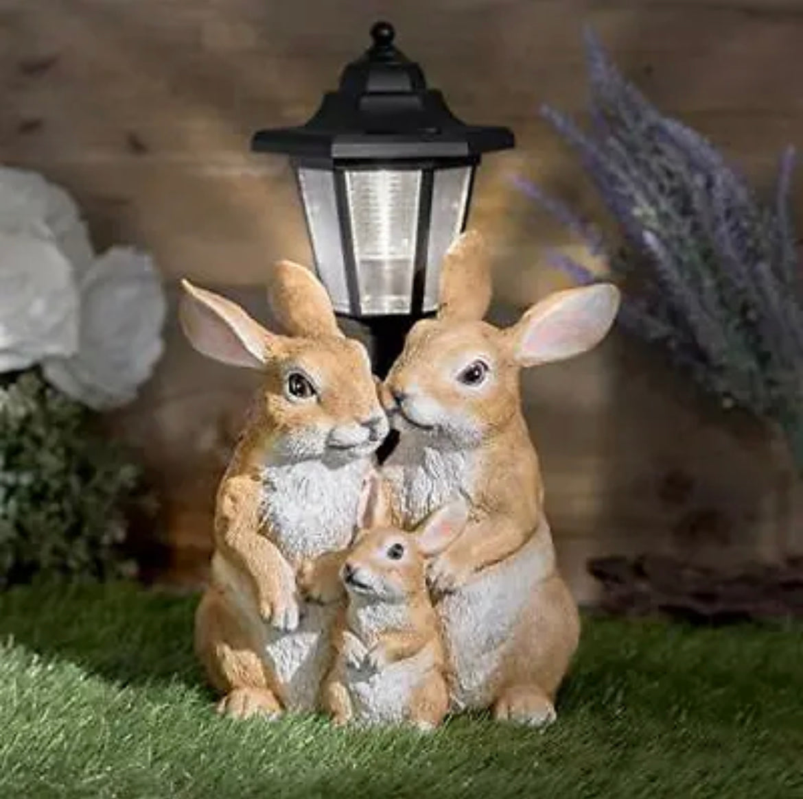 Solar Rabbit Family