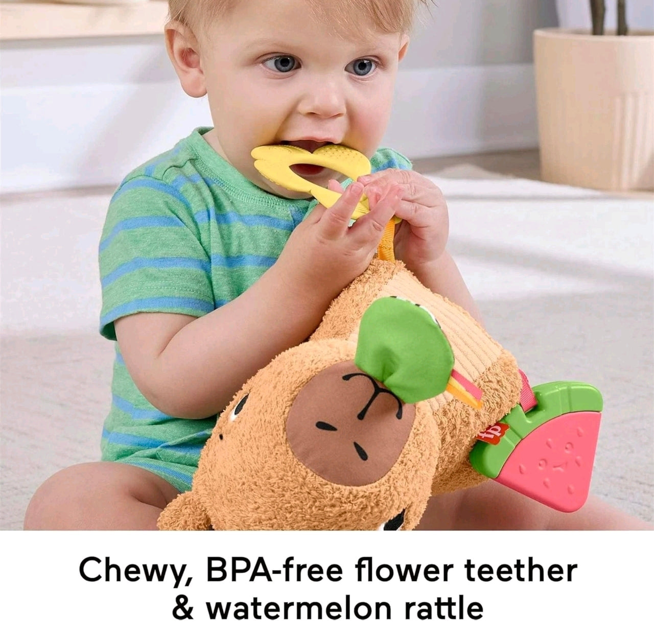 Snuggly Snacky Capybara Baby Toy