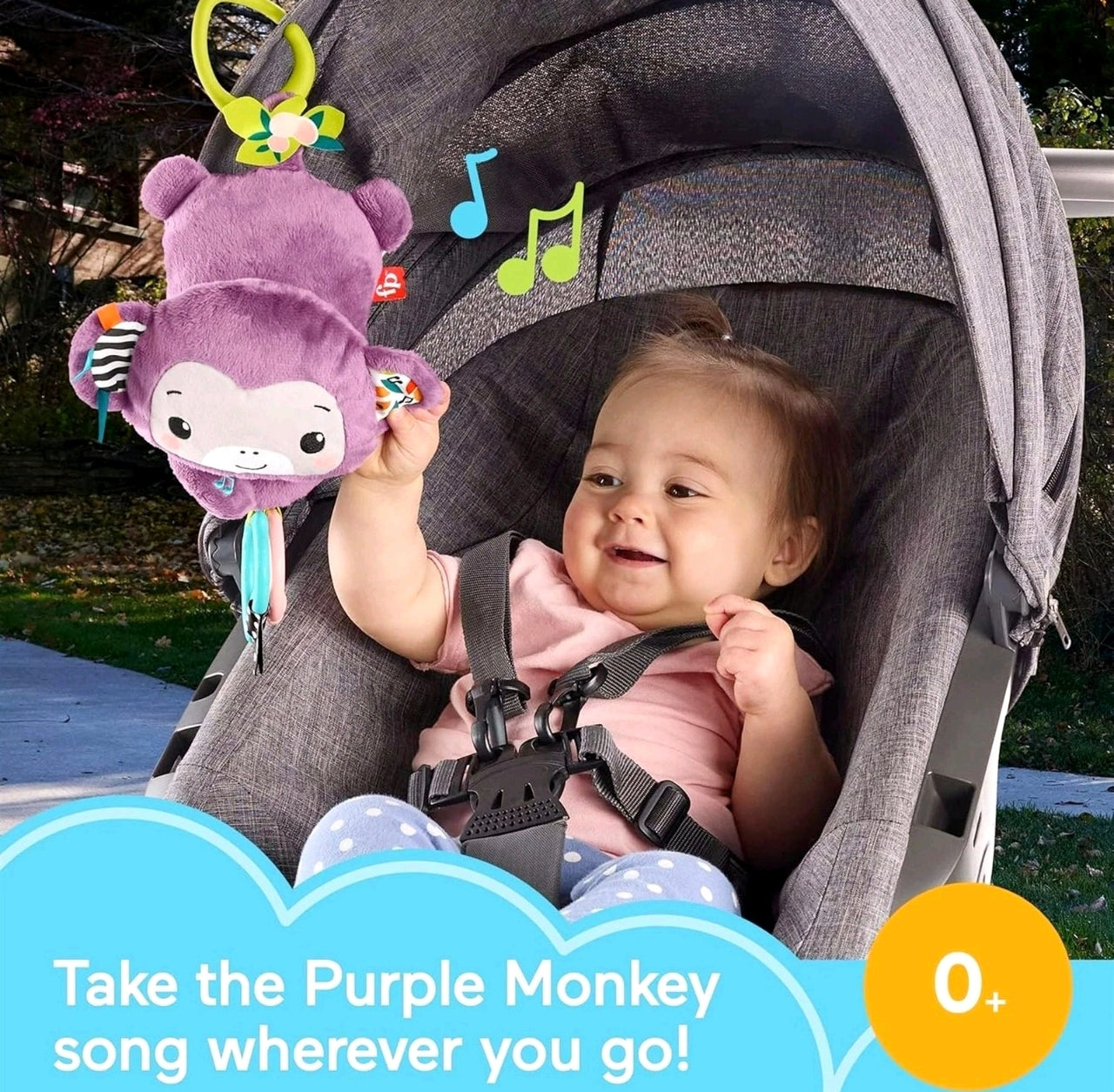 Sing & Go Purple Monkey
