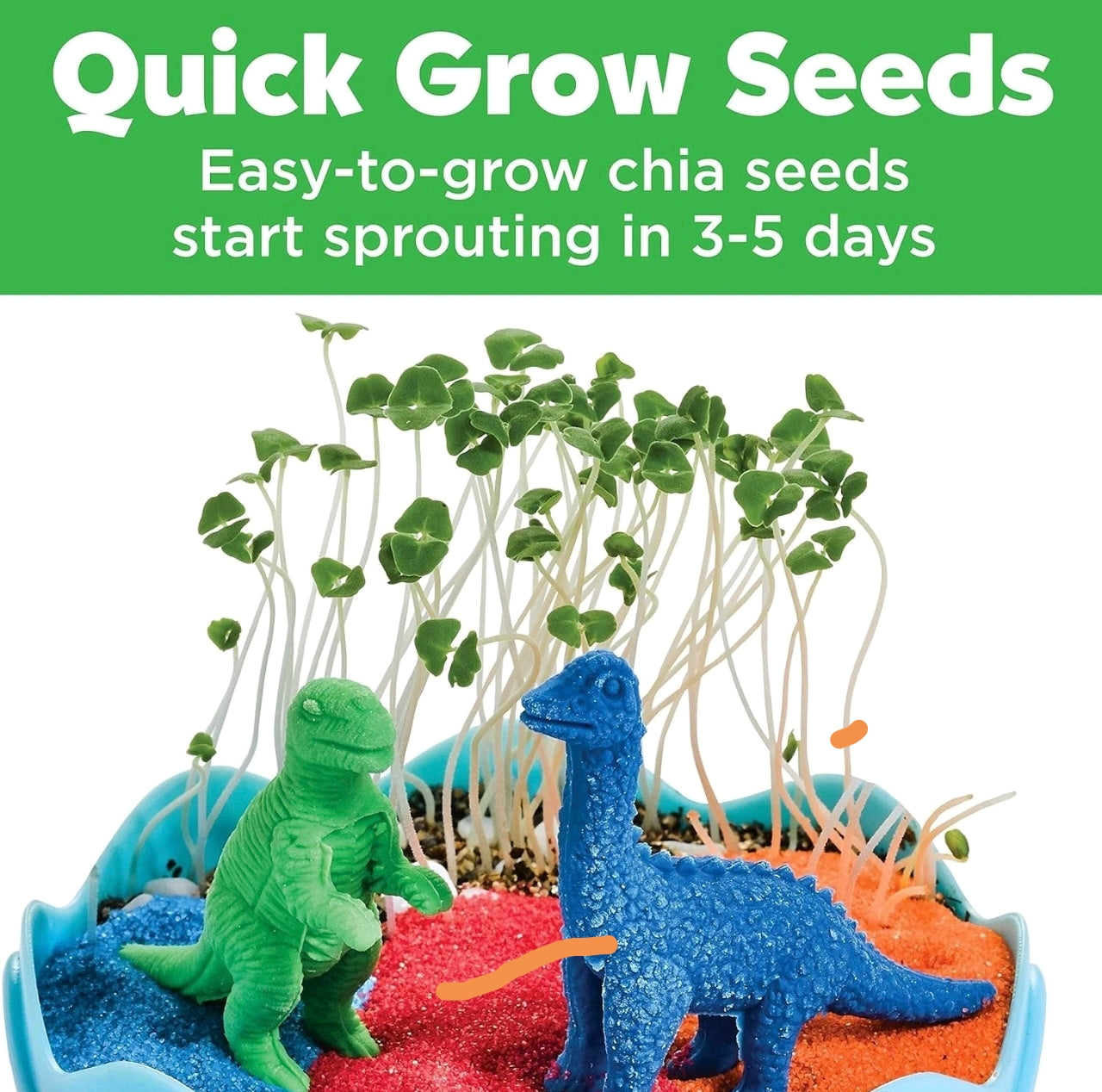 Grow Your Own Mini Garden Terrarium