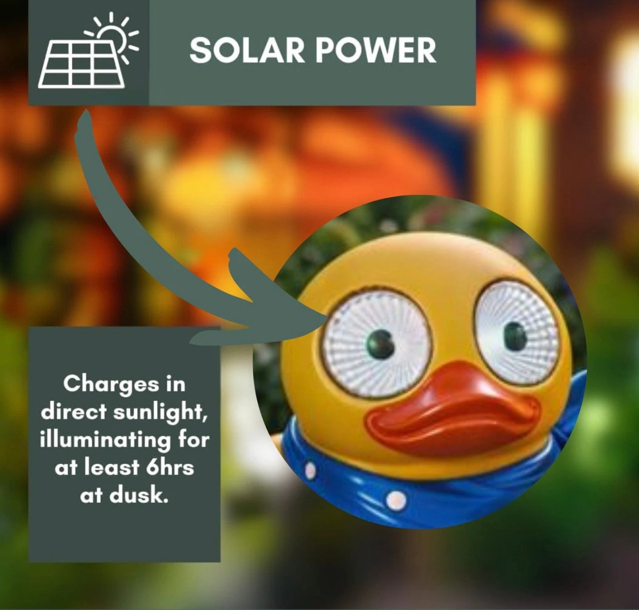 3pc Blinking Eye Duck Statues