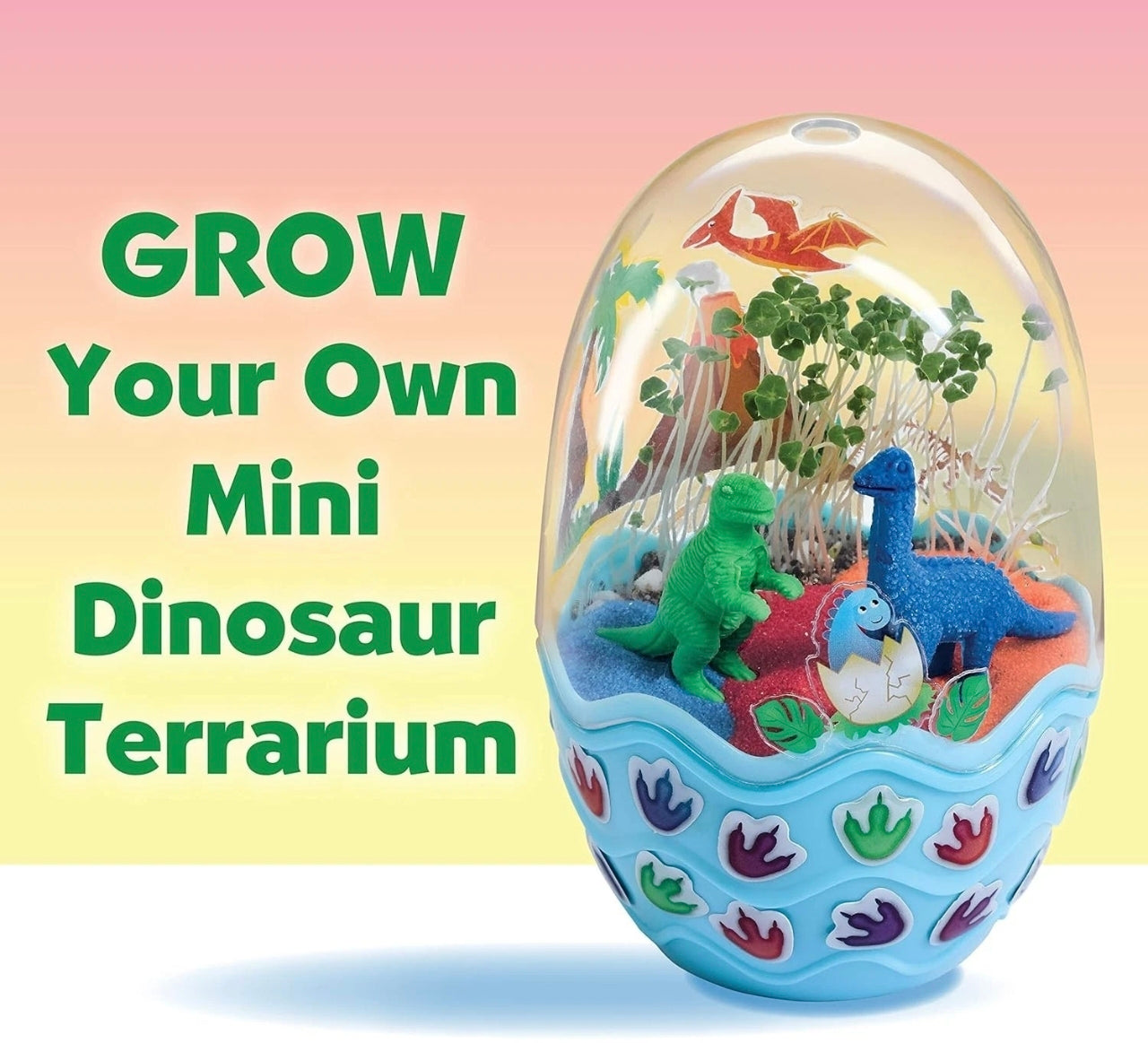 Grow Your Own Mini Garden Terrarium