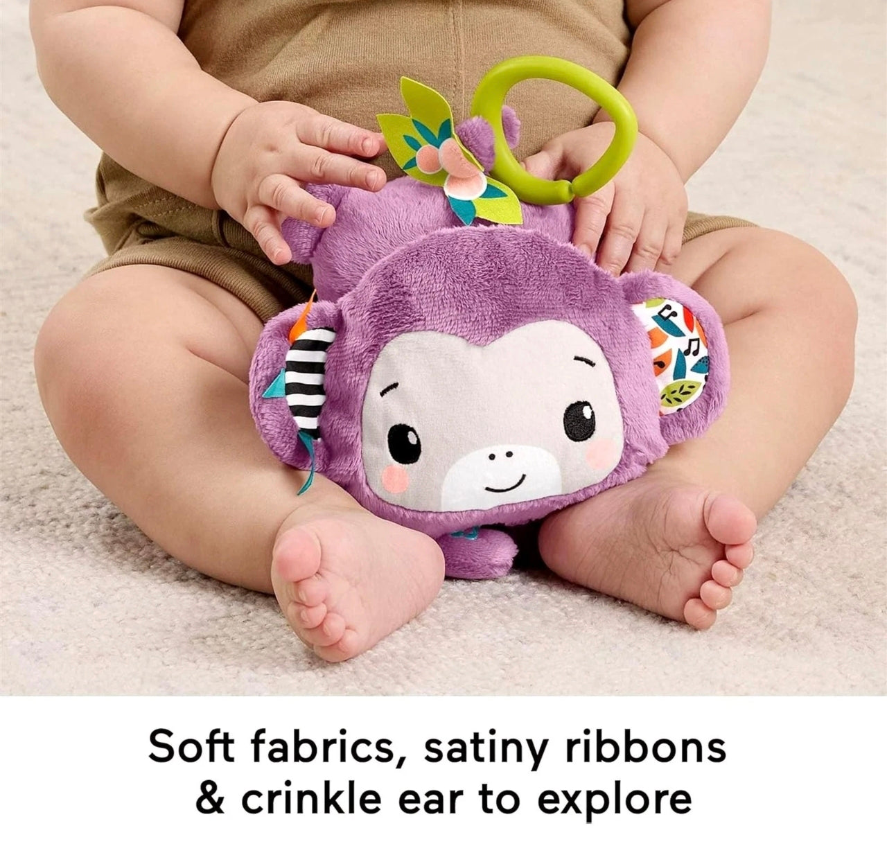 Sing & Go Purple Monkey