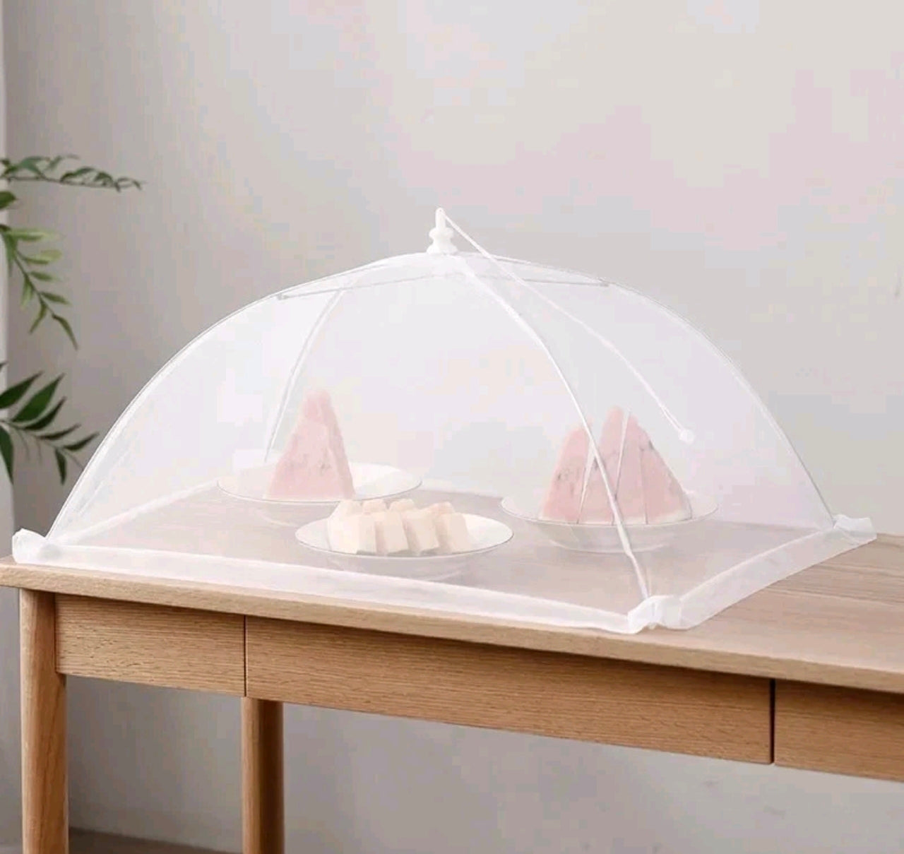 Pop Up  Mesh Food Net