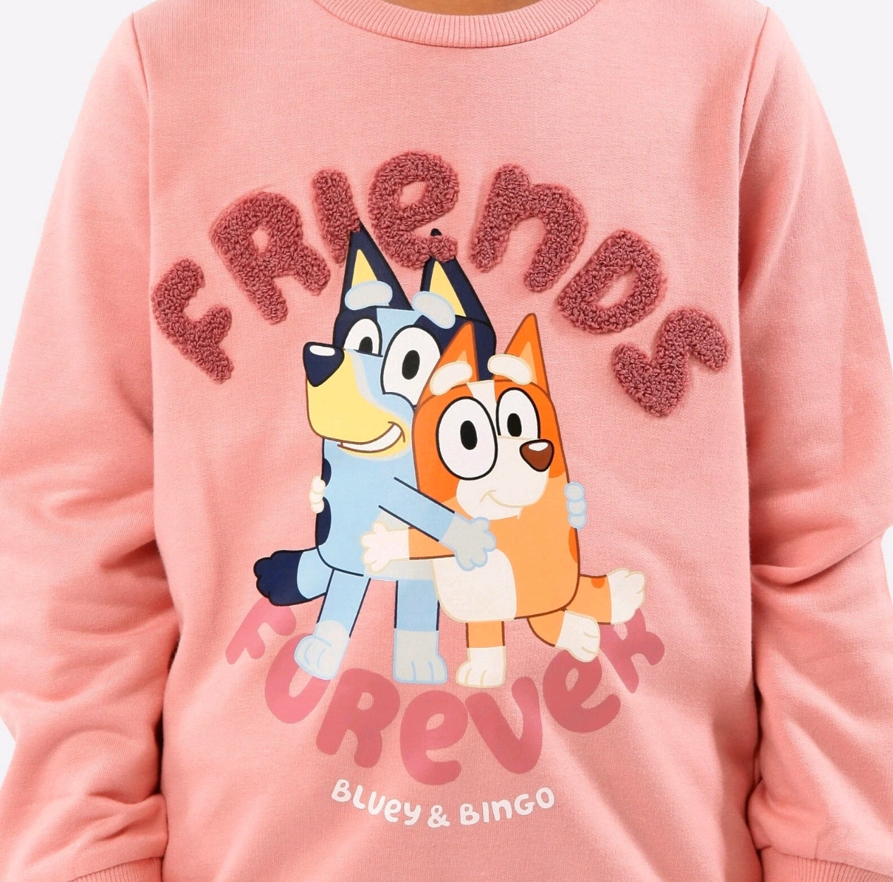 Girls Blue Dog Friends Forever Sweatshirt
