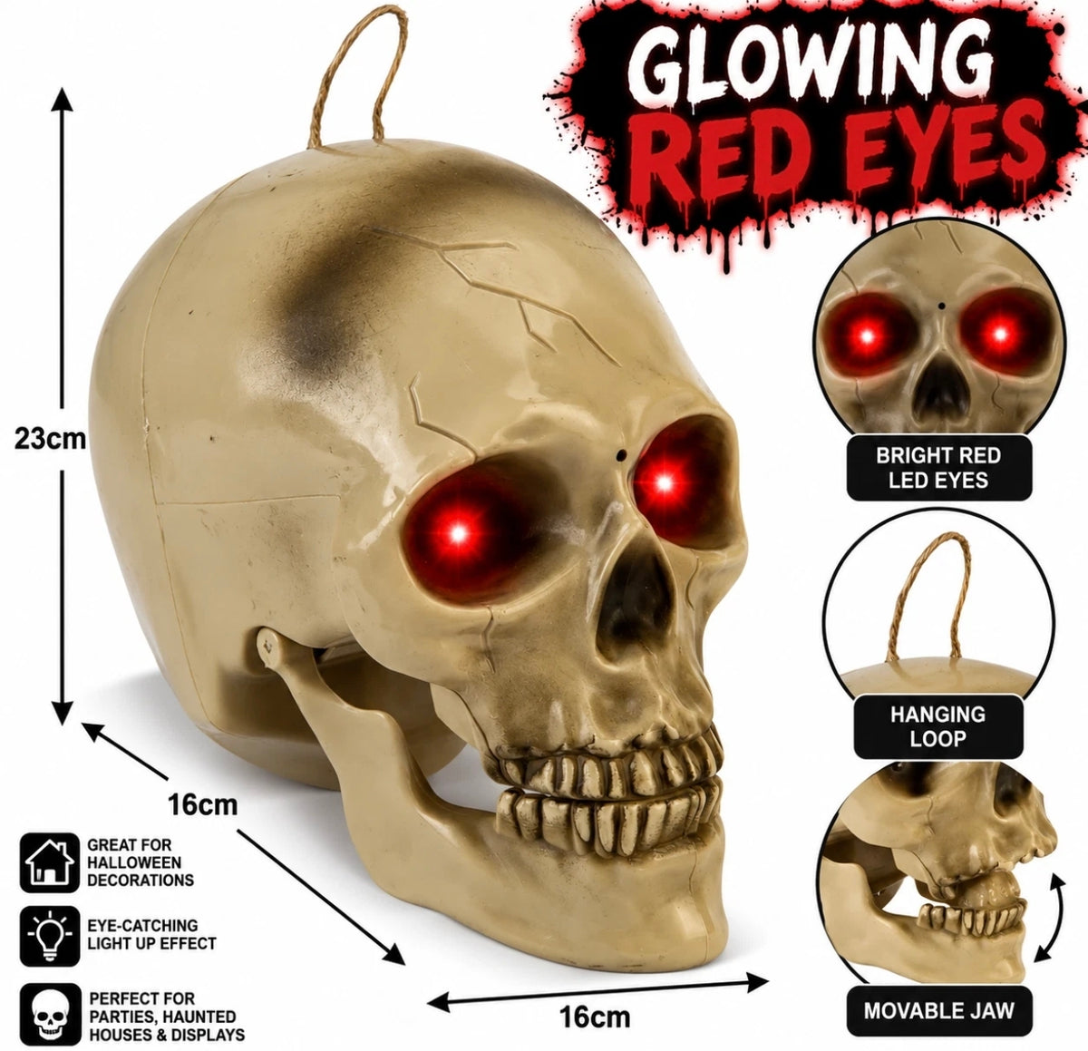 Talking Skull Decoration