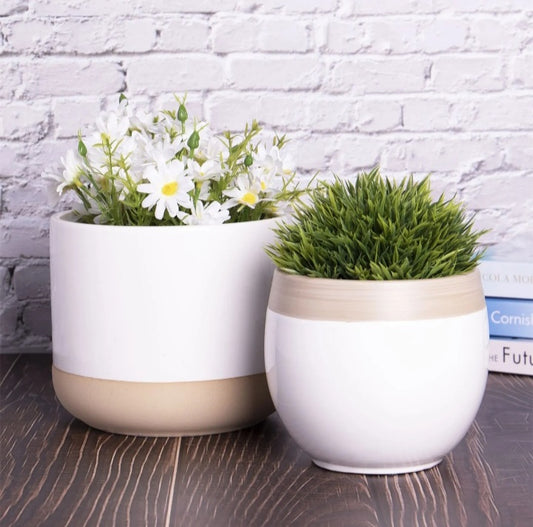 Two White Indoor Plant Pot