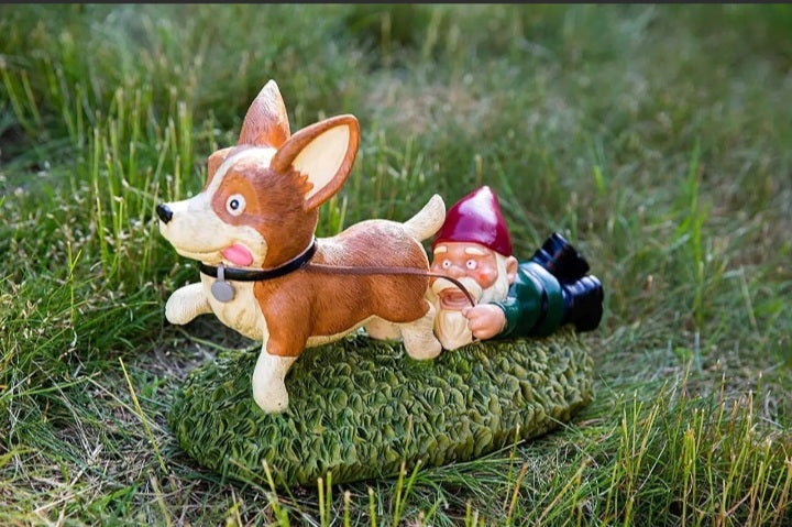 Dog Pulling Garden Gnome