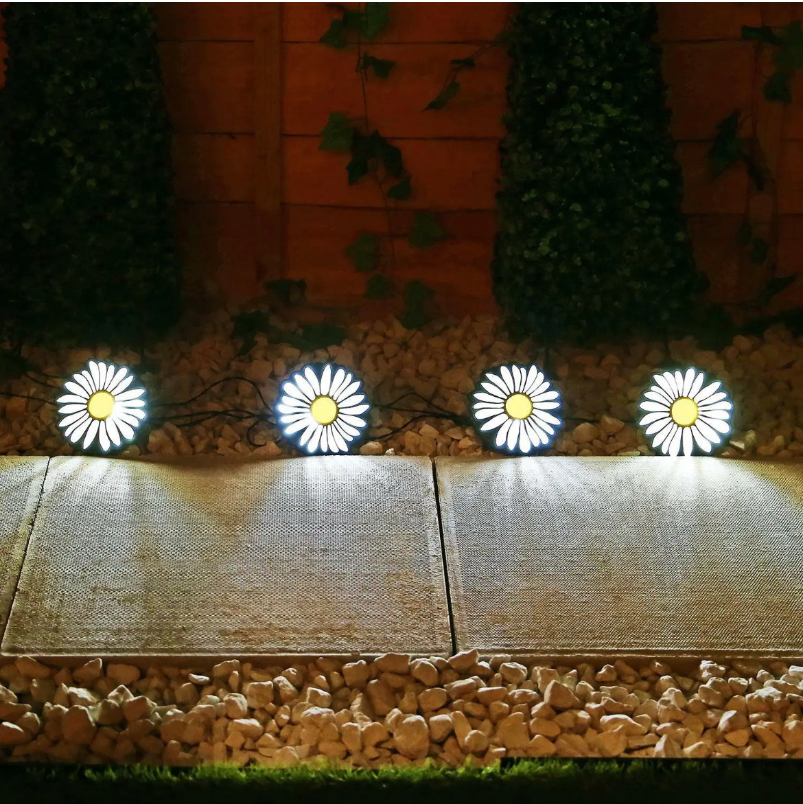 Solar Daisy Garden Lights
